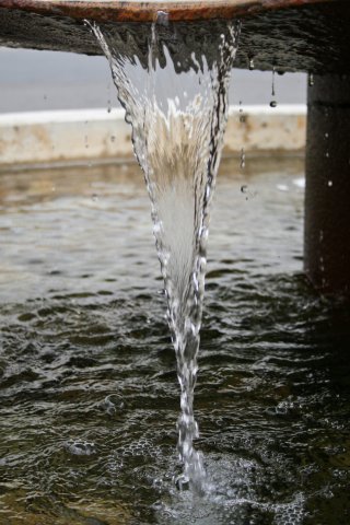 IMG_8060-2